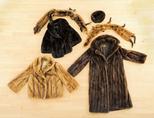 Two fur coats, together with two mink shawls and: Two fur coats, together with two mink shawls and a fur hat.