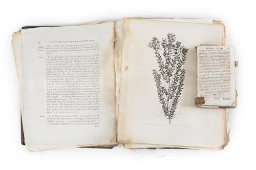 A Voyage Towards the South Pole & Around The Wor: A Voyage Towards the South Pole & Around The World, by James Cook, vol. 1, 1777, together with an early Latin book.
