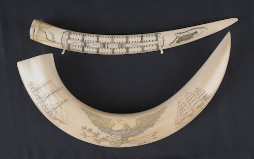 Scrimshaw tusk with ships and an American eagle,: Scrimshaw tusk with ships and an American eagle, together with a walrus tusk cribbage board.