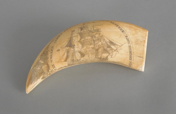 Three scrimshaw whale teeth, 20th c., decorated w: Three scrimshaw whale teeth, 20th c., decorated with an American eagle and the Whaler James Arnold Out of New Bedford, 5'' l., 7'' l. and 5 1/2'' l.
