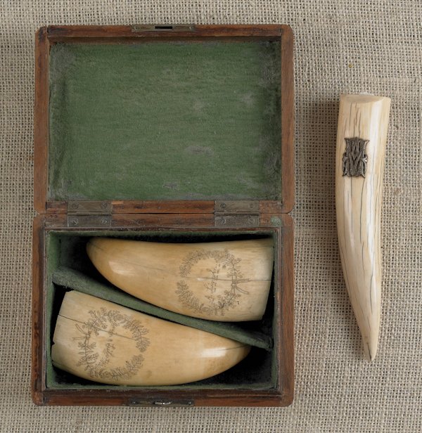 Pair of cased scrimshaw whale teeth, 20th c., ins: Pair of cased scrimshaw whale teeth, 20th c., inscribed A. Lincoln and Union & Liberty, 5'' l., together with another with an applied brass monogram, 7 1/4'' l.