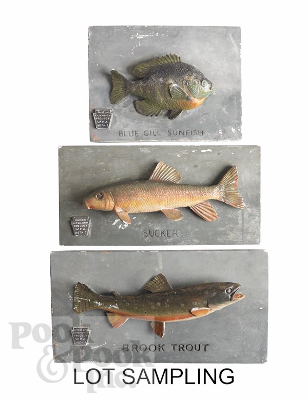 Eight WPA plaster fish plaques, together with ano: Eight WPA plaster fish plaques, together with another plaque. Provenance: Property deaccessioned from the Reading Public Museum.