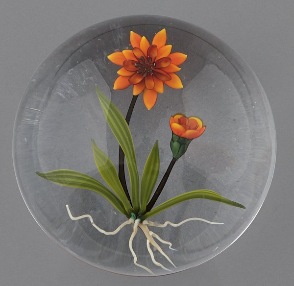 Chris Buzzini floral paperweight with an orange f: Chris Buzzini floral paperweight with an orange flower, bud, and exposed roots, signed and inscribed '90 DA 7/40, 3'' dia.