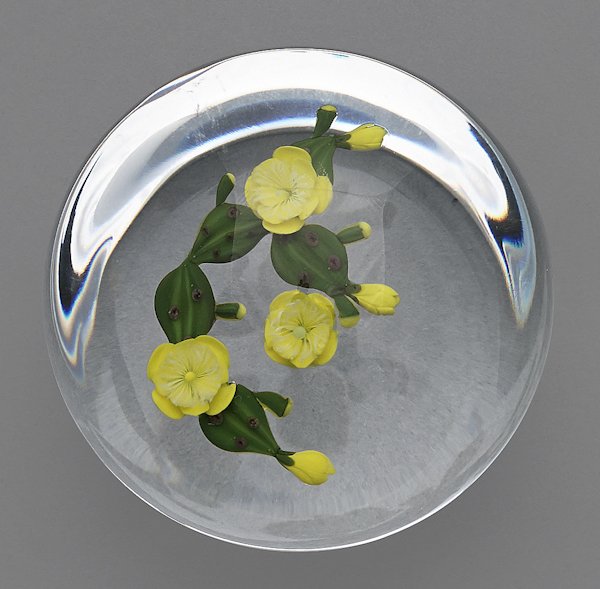 Paul Stankard yellow cactus paperweight, signed i: Paul Stankard yellow cactus paperweight, signed in cane and inscribed 16/25 A672 1979, 3'' dia.