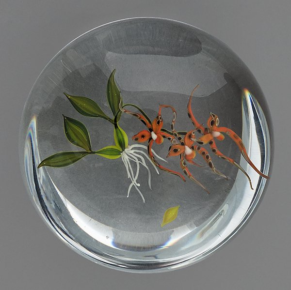 Paul Stankard spider orchid paperweight, signed i: Paul Stankard spider orchid paperweight, signed in cane and inscribed 3/75 41777, 3'' dia.