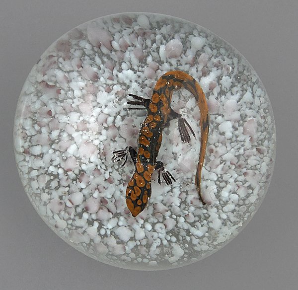 Lizard paperweight, possibly Carpenter, 2 3/4'' di: Lizard paperweight, possibly Carpenter, 2 3/4'' dia.,