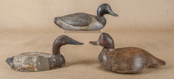 Bufflehead duck decoy, attributed to the Ward Br: Bufflehead duck decoy, attributed to the Ward Brothers, together with another attributed to Chris Smith, Michigan, and a bluebill.