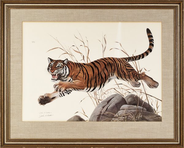 Two John Ruthven signed wildlife lithographs, 35'': Two John Ruthven signed wildlife lithographs, 35'' x 23 1/2'' and 21 3/4'' x 30 1/2'', together with a David Hagerbaumer duck lithograph, 16 1/2'' x 22 3/4''.