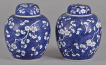 Pair of Chinese blue and white ginger jars with c