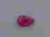 item-82338253=2