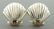 TIFFANY & Co. 14K STERLING SILVER RUBY SHELL EARRINGS - 2