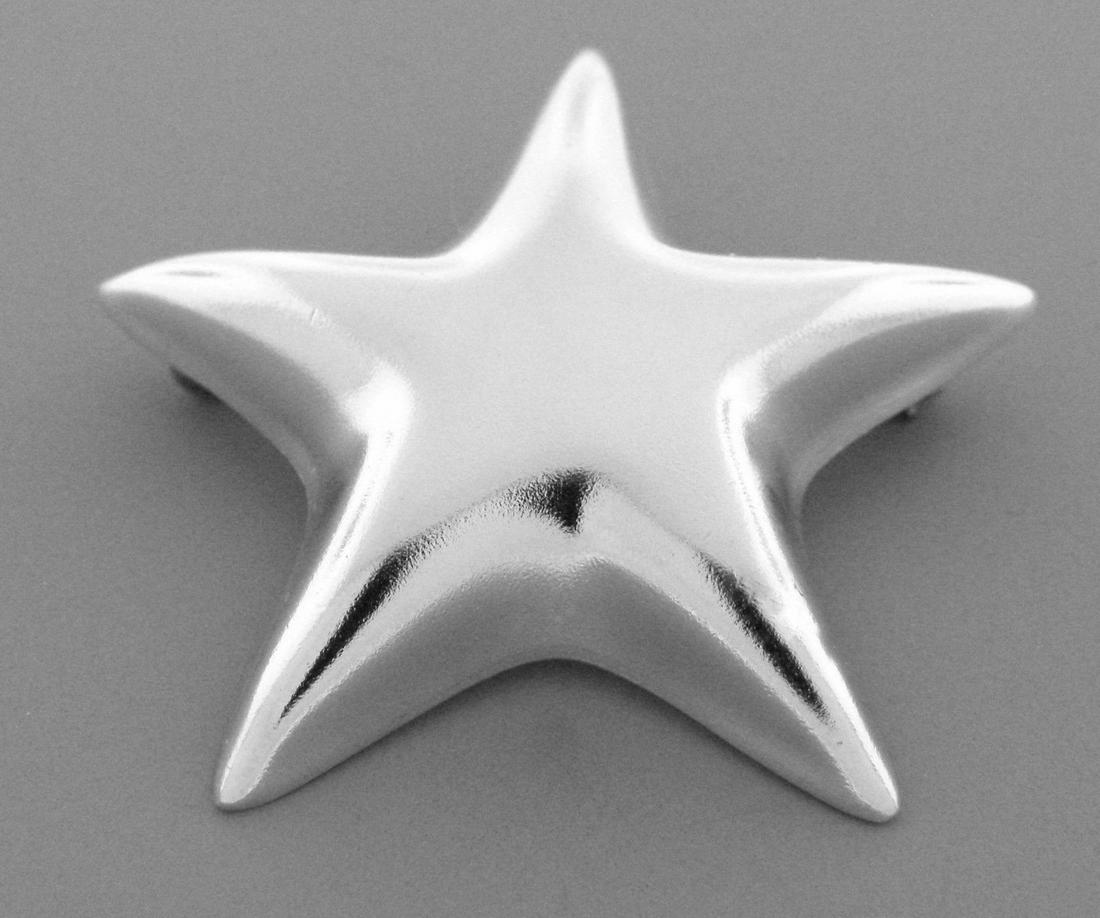TIFFANY & Co. STERLING SILVER STAR BROOCH PIN (1 of 2)