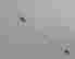 item-127589201=2