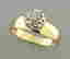 item-131317146=2