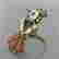 item-131723357=2
