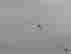 item-131835815=1