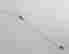 item-131835982=1