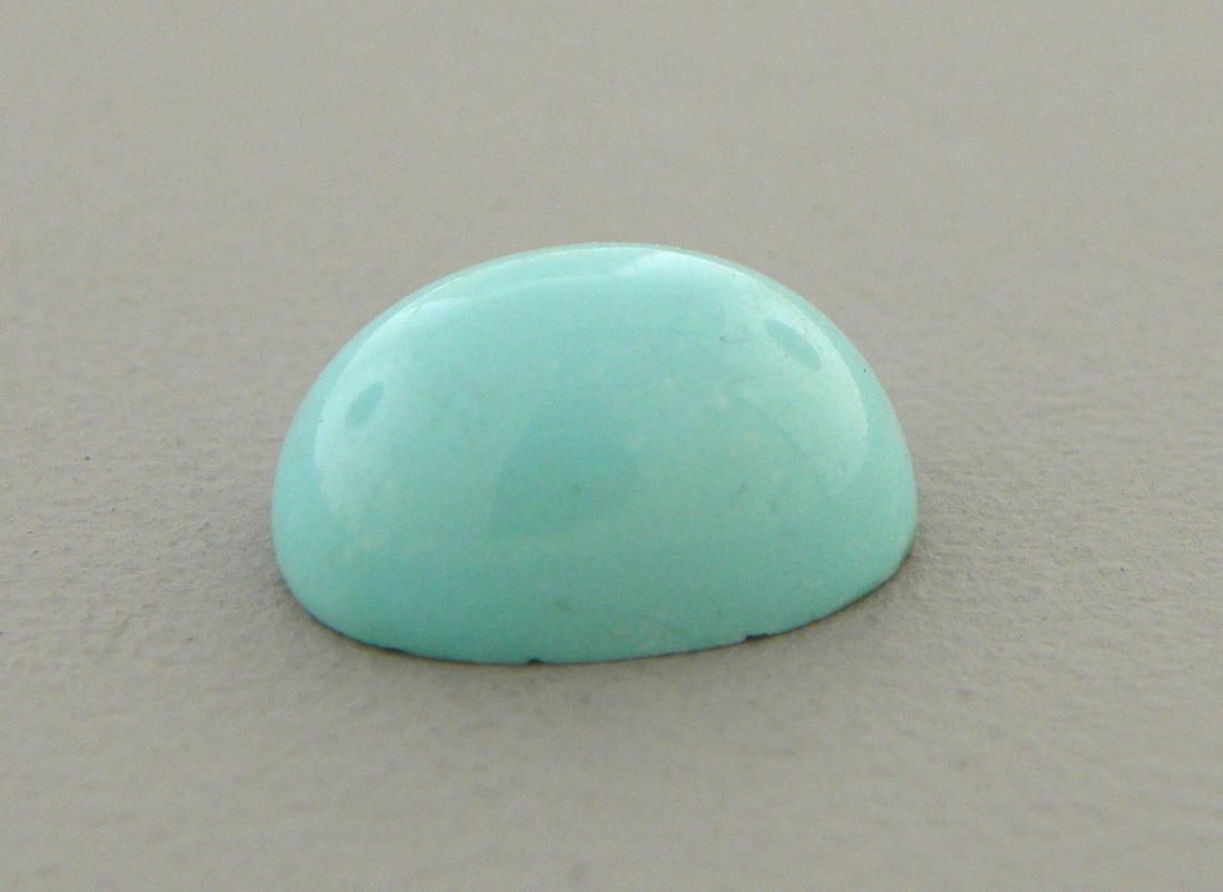6.96ct NATURAL 14x10mm CABOCHON OVAL TURQUOISE ROBINS (1 of 2)
