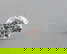 item-202335610=1