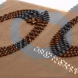 DAVID YURMAN BLACK TITANIUM PAVE BLACK DIAMOND 8MM CURB CHAIN NECKLACE 20" BOX: DAVID YURMAN BLACK TITANIUM PAVE BLACK DIAMOND 8MM CURB CHAIN NECKLACE - 20" BOX David Yurman Curb Chain Collection For Men Black Titanium Pave Black Diamond 8mm Curb Chain Necklace Length - 20" Box C
