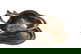 item-207694387=2