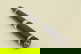 item-207699820=1
