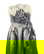 item-209634719=2