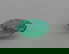 item-210273880=1