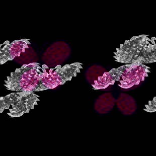18KT GOLD LRG RUBY & DIAMOND BUTTERFLY EARRINGS: 18KT GOLD LRG RUBY & DIAMOND BUTTERFLY EARRINGS 18KT GOLD LRG RUBY & DIAMOND BUTTERFLY EARRINGS The Following Items we are offering is a Rare Important Estate Radiant Pair of 18KT White Gold Gorgeous