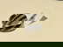 item-210348133=1