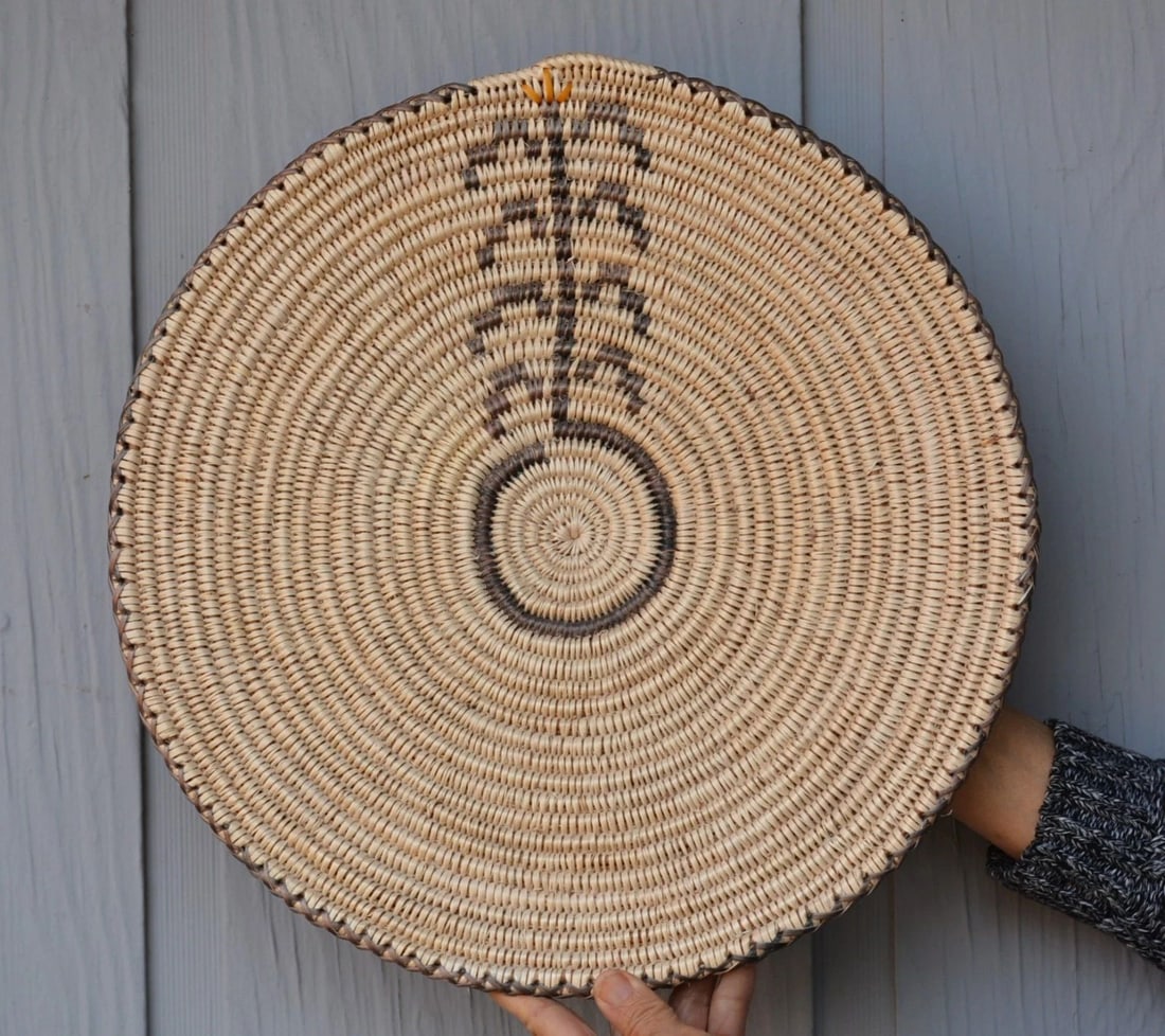 SALLY BLACK - NAVAJO PICTORIAL BASKET - BEGINNING OF LIFE - CORN PLANT - 16" (1 of 1)