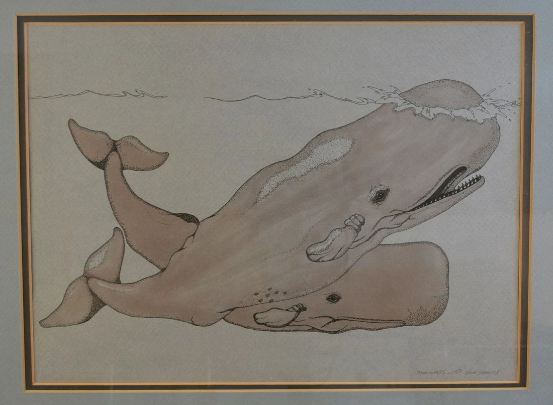FRAMED ORIGINAL MIXED MEDIA INK WASH DRAWING - SPERM WHALES - SHANE DIMMICK 1979 (1 of 2)