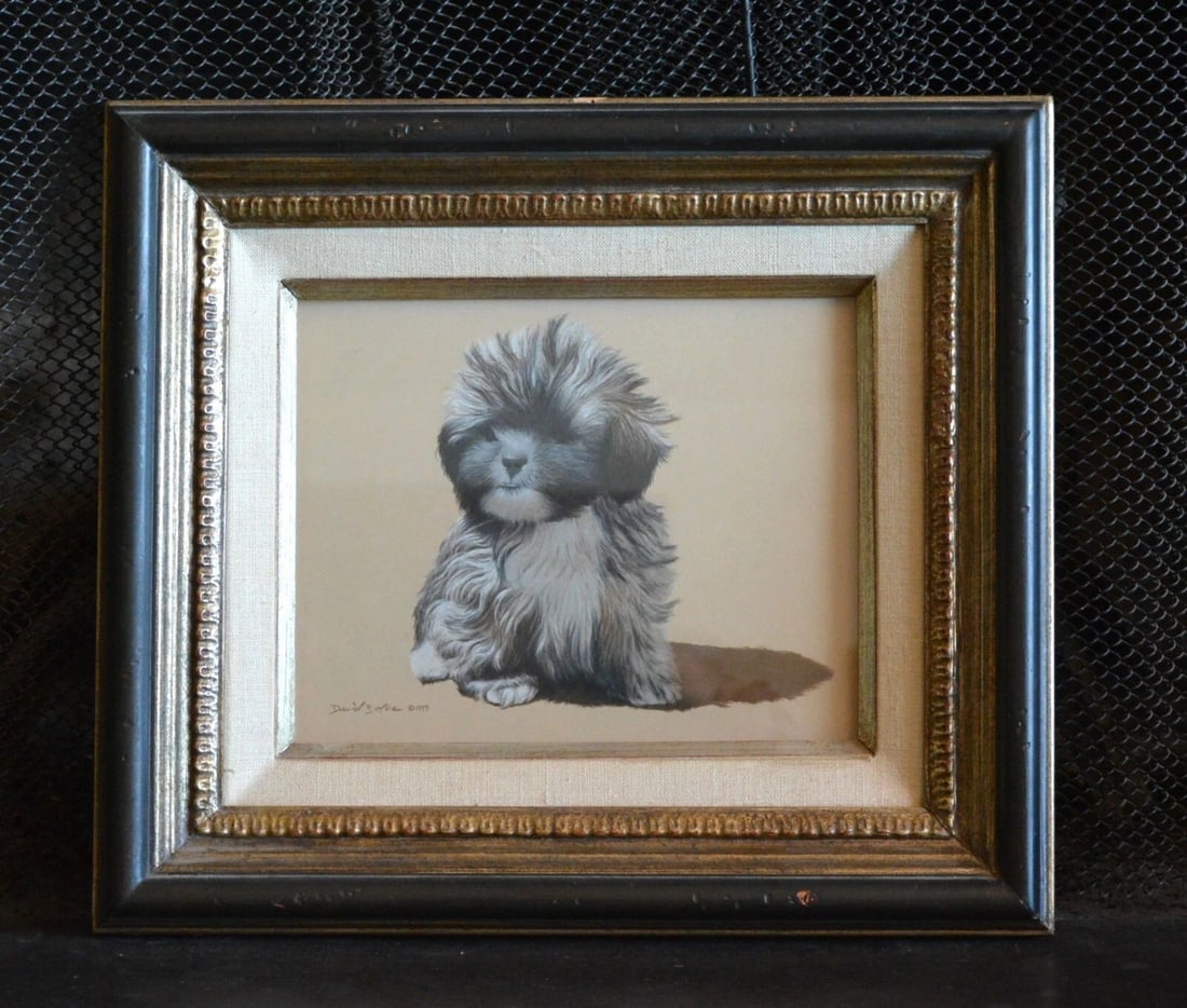 DAVID BOLES (1947-) PASTEL CHALK DRAWING - SWEET SHIH TZU PUPPY DOG - FRAMED (1 of 1)