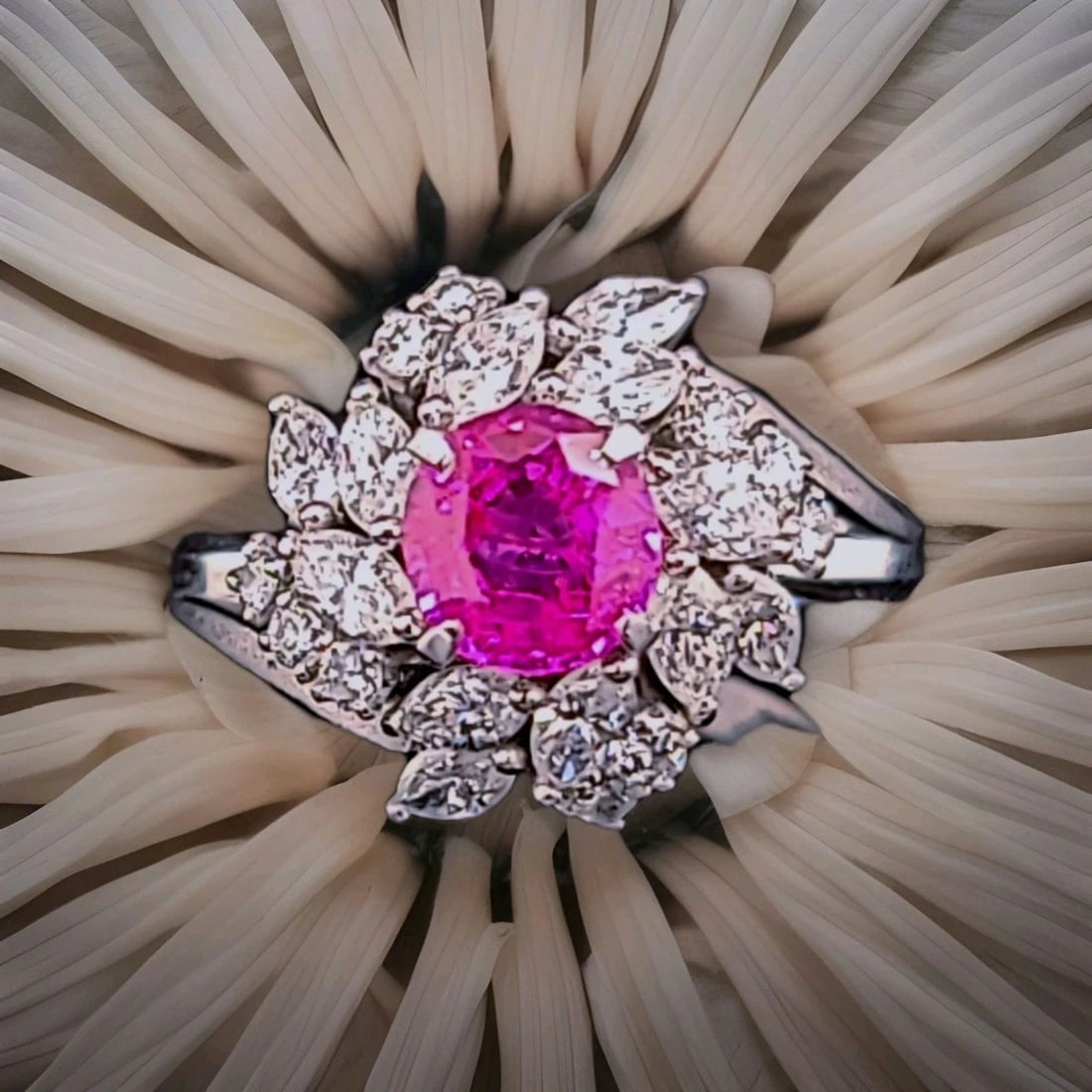 Vintage Platinum Cocktail Ring 1.77CT. Natural Round Cut Pink Sapphire GIA Cert: VINTAGE PLATINUM COCKTAIL RING 1.77CT. NATURAL ROUND CUT PINK SAPPHIRE GIA CERT This stunning authentic Art Deco cocktail ring is crafted in solid platinum and showcases beautiful hand-engraved filigr