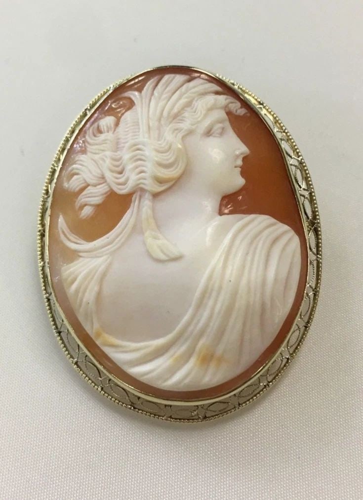 CARVED SHELL CAMEO BROOCH WITH WIRE FILIGREE BOARDER FAME AND 14K GOLD 13.2GRAMS (1 of 2)