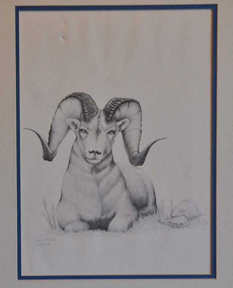 DAN S MILLS - ORIGINAL PRINT DRAWING MOUNTAIN BIGHORN RAM LMTD ED PENCIL SIGNED (1 of 2)