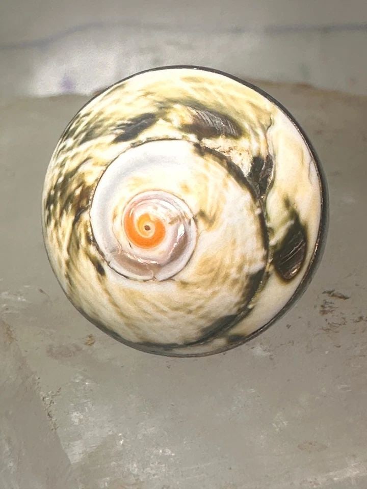 VINTAGE SHELL RING SNAIL BAND SIZE 5.2 STERLING SILVER WOMEN GIRLS PINKY (1 of 2)