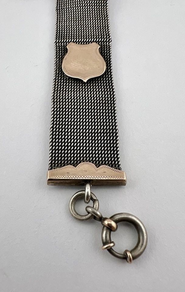 ANTIQUE VICTORIAN ENGLISH STERLING SILVER & GOLD MESH CREST FOB WATCH CHAIN (1 of 2)