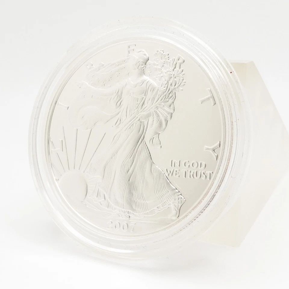 2007 W AMERICAN EAGLE UNCIRCULATED SILVER $1 DOLLAR COIN - CAPSULATED (1 of 1)