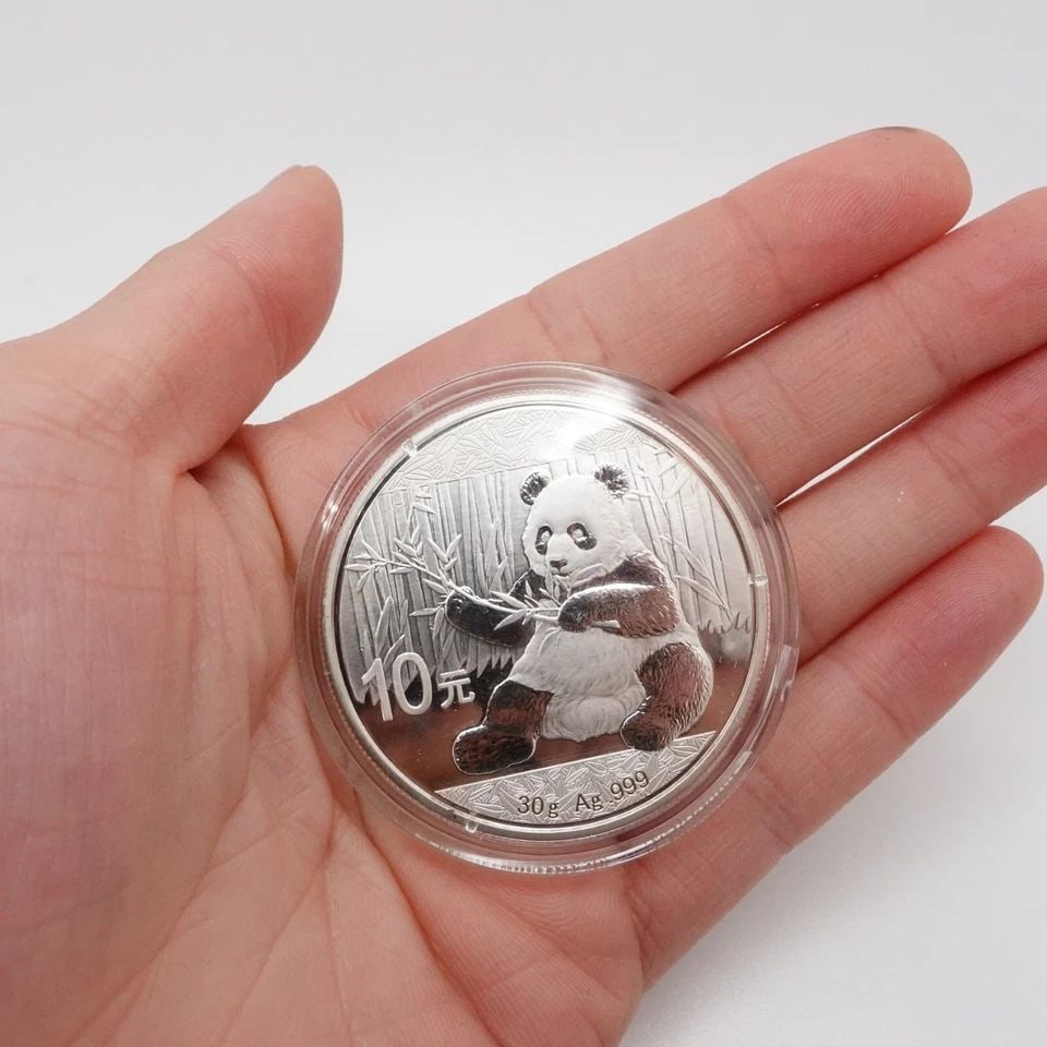 2017 CHINA PANDA SILVER 10 YUAN COIN - CAPSULATED (1 of 1)