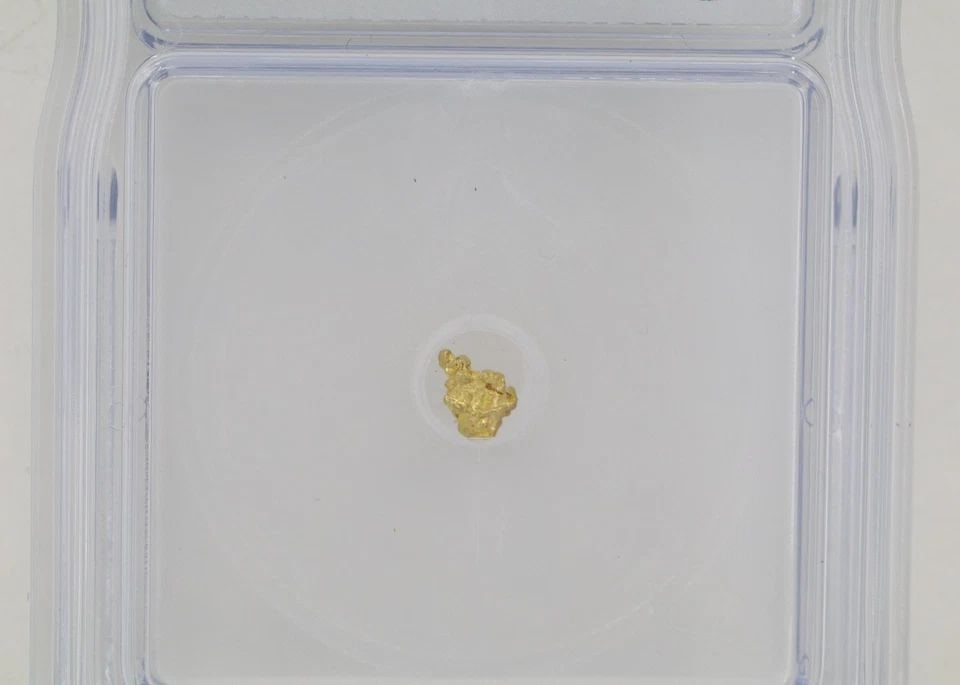 ICG GRADED CERTIFIED GENUINE NATURAL GOLD NUGGET 0.46 GRAMS SLABBED (1 of 2)