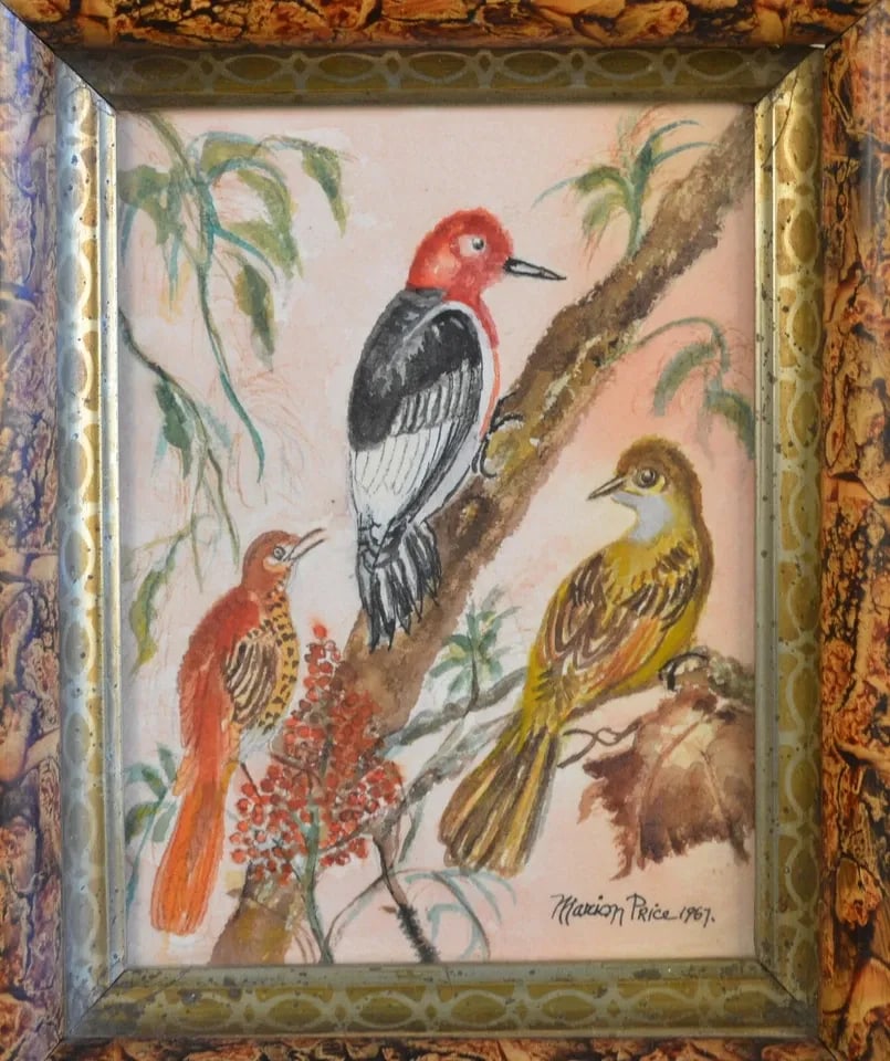 SMALL VINTAGE WATERCOLOR PAINTING - 3 BIRDS IN A TREE - MARION PRICE - 1967: SMALL VINTAGE WATERCOLOR PAINTING - 3 BIRDS IN A TREE - MARION PRICE - 1967 Item Description: The original watercolor painting shows three colorful birds. It is watercolor on paper. The painting is si