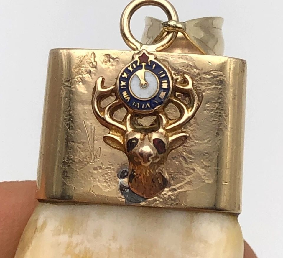 ANTIQUE 14K GOLD ELKS CLUB B.P.O.E. PENDANT ( 8.4 GRAMS ): ANTIQUE 14K GOLD ELKS CLUB B.P.O.E. PENDANT 8.4 GRAMS Antique 14k Gold Elks Club B.P.O.E. Pendant Condition: Used Material: 14k Yellow Gold Pendant Weight: 8.4 grams Pendant Size: 44mm x 19.5mm x 9.9m