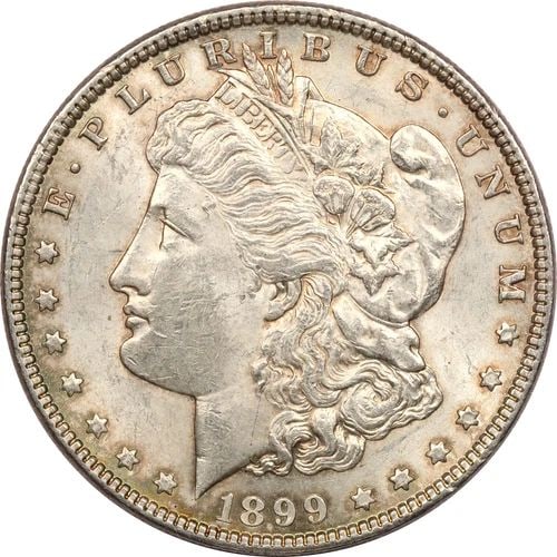 1899 MORGAN SILVER DOLLAR $1, BRILLIANT UNCIRCULATED BU, LIGHTLY TONED (1 of 2)