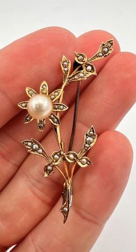 ANTIQUE VICTORIAN 9K YELLOW GOLD SEED PEARL & 6MM PEARL FLOWER PIN BROOCH: ANTIQUE VICTORIAN 9K YELLOW GOLD SEED PEARL & 6MM PEARL FLOWER PIN BROOCH Antique Victorian 9k Yellow Gold Seed Pearl & 6mm Pearl Flower Pin Brooch Size: 7/8" Tall & 2" Wide Metal: 9k Yellow Gold - Te