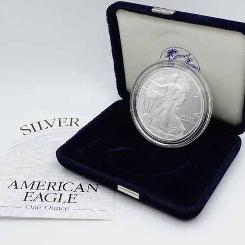 2002 W AMERICAN EAGLE SILVER PROOF $1 DOLLAR COIN - COA & CASE (1 of 2)