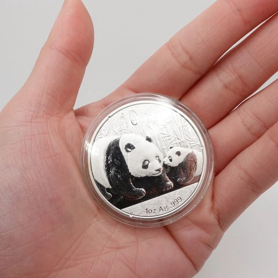 2011 CHINA PANDA SILVER 10 YUAN COIN - CAPSULATED #Q15 (1 of 1)