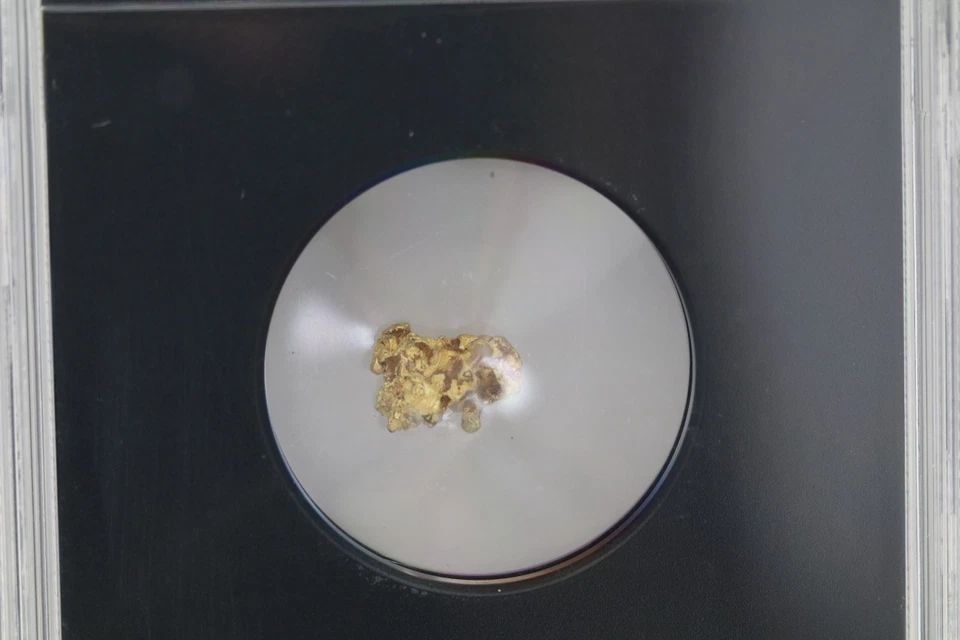 VAULTBOX NGC GRADED CERTIFIED GENUINE MEXICO NATURAL GOLD NUGGET 0.77 GRAMS (1 of 1)