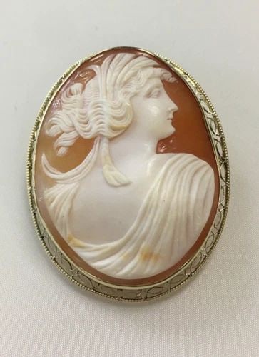 CARVED SHELL CAMEO BROOCH WITH WIRE FILIGREE BOARDER FAME AND 14K GOLD 13.2GRAMS (1 of 1)