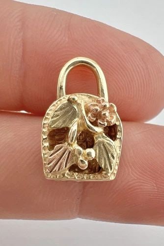 HARLEY DAVIDSON MOTORCYCLES BLACK HILLS GOLD 10K DOUBLE SIDED PADLOCK PENDANT: HARLEY DAVIDSON MOTORCYCLES BLACK HILLS GOLD 10K DOUBLE SIDED PADLOCK PENDANT Harley Davidson Motorcycles Black Hills Gold 10K Double Sided Padlock Pendant Size: Almost 3/4" Tall By About 1/2" Wide & 